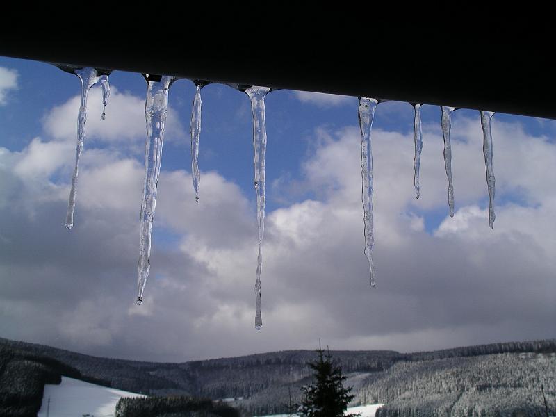 Winter 23.jpg